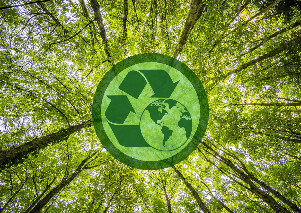segregacja_smieci_recykling